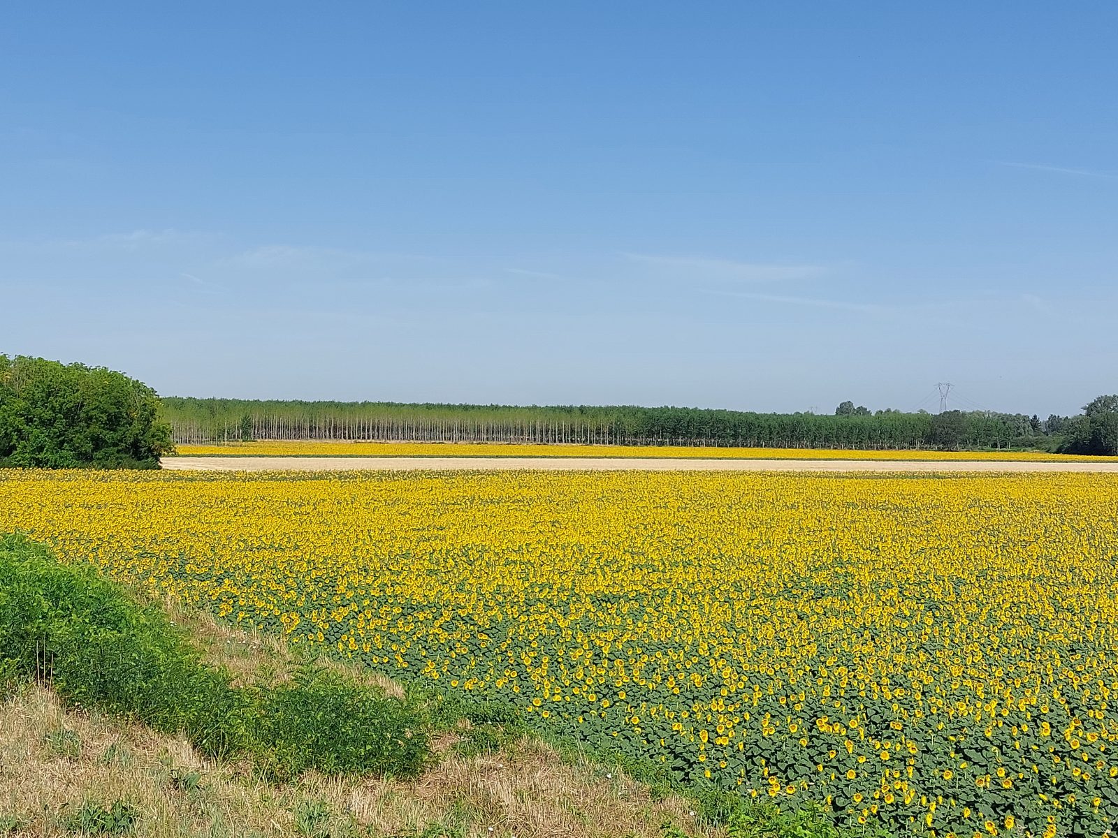 Clima: update sul PNIEC