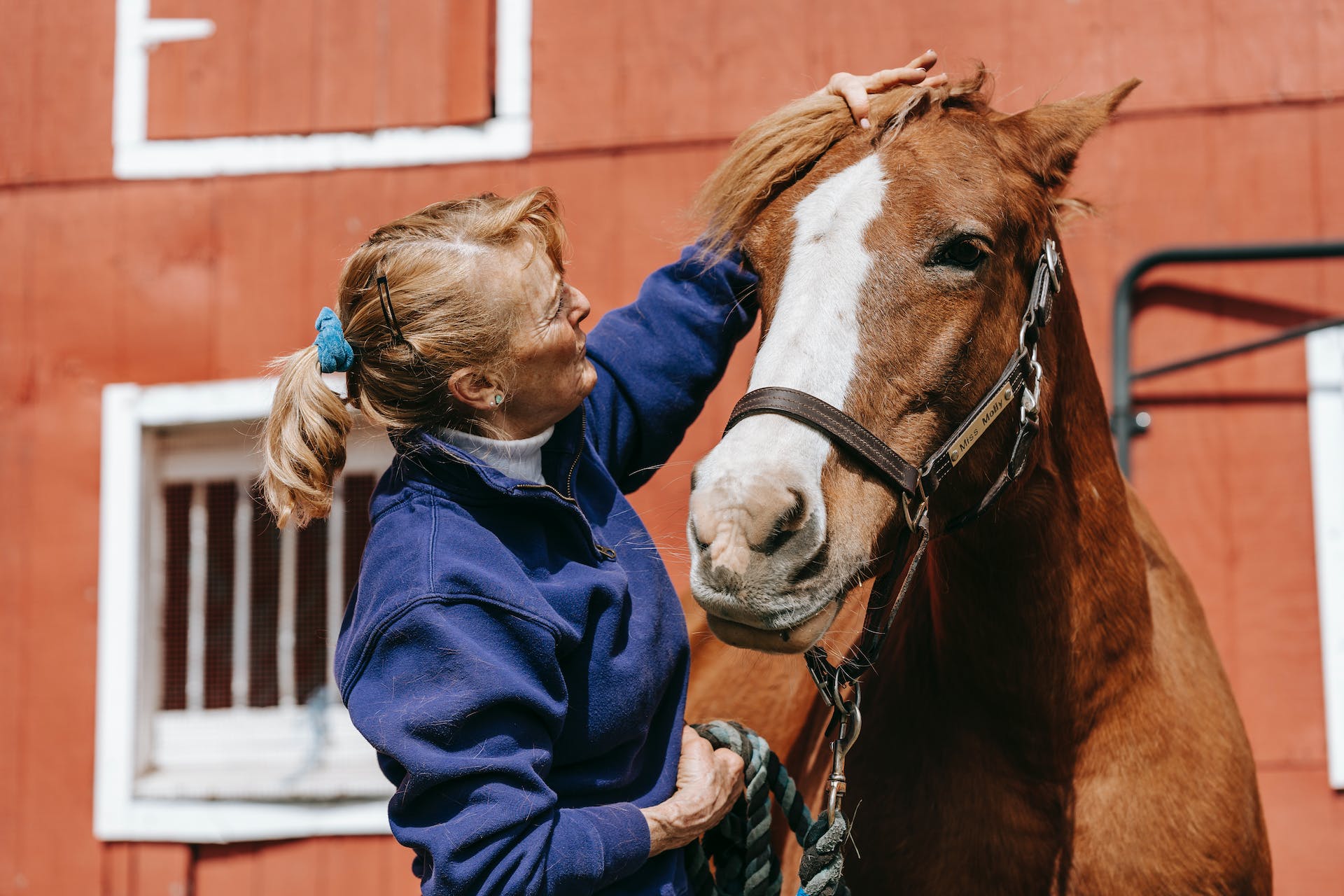 A cavallo nel centro di Verona