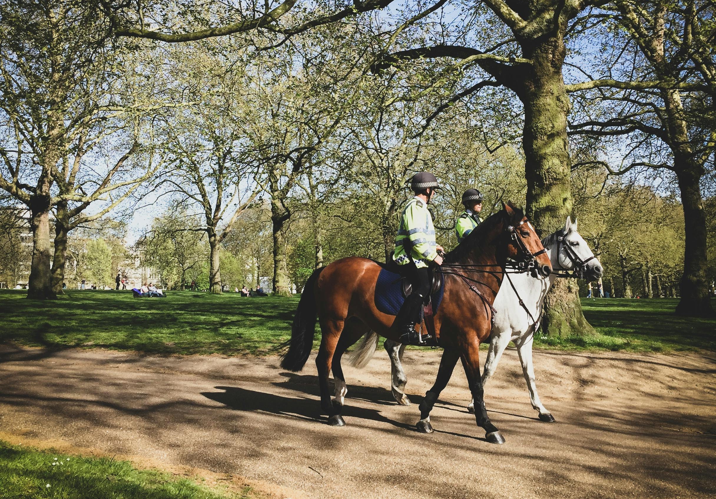 Milano potenzia la sicurezza nei parchi: da giugno presidio della polizia locale a cavallo