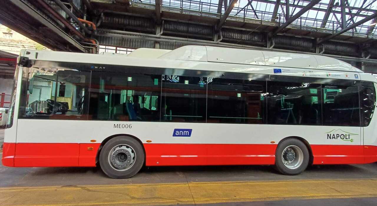 Napoli, in servizio altri 15 bus elettrici: il costo del progetto