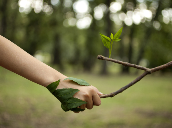 Misurare l’eco-ansia, sfida tra scienza e umanità