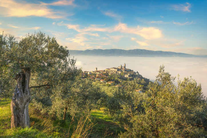 Marche e Umbria entrano nella ZES unica, nuova legge per il rilancio economico