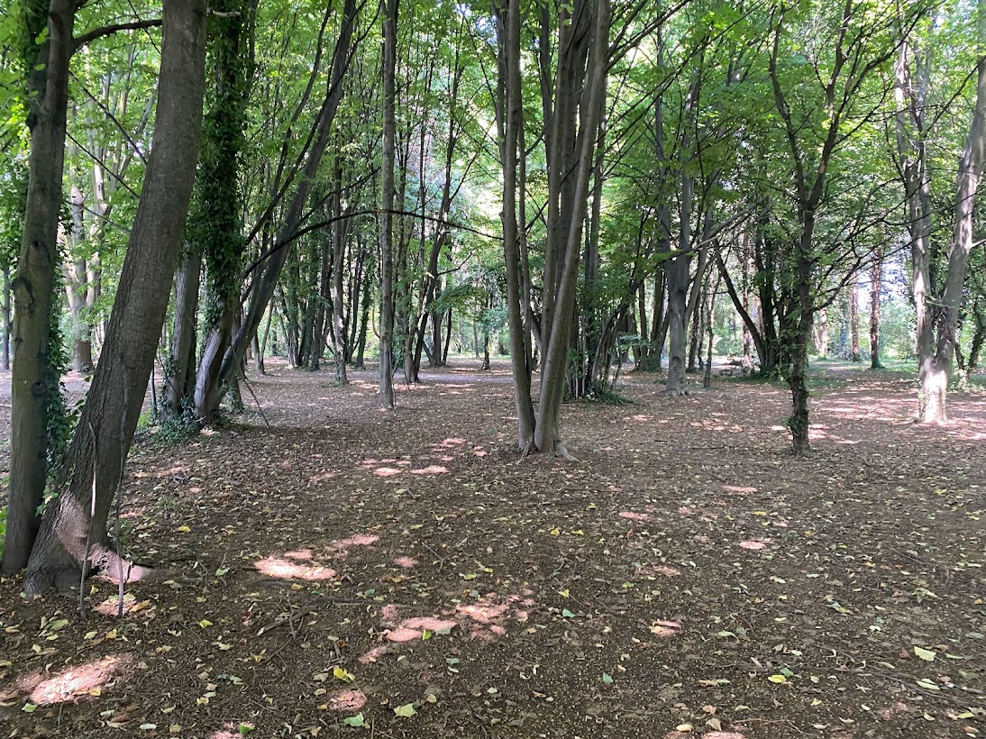 Seveso, la rinascita sopra la diossina: il Bosco delle Querce è patrimonio Unesco