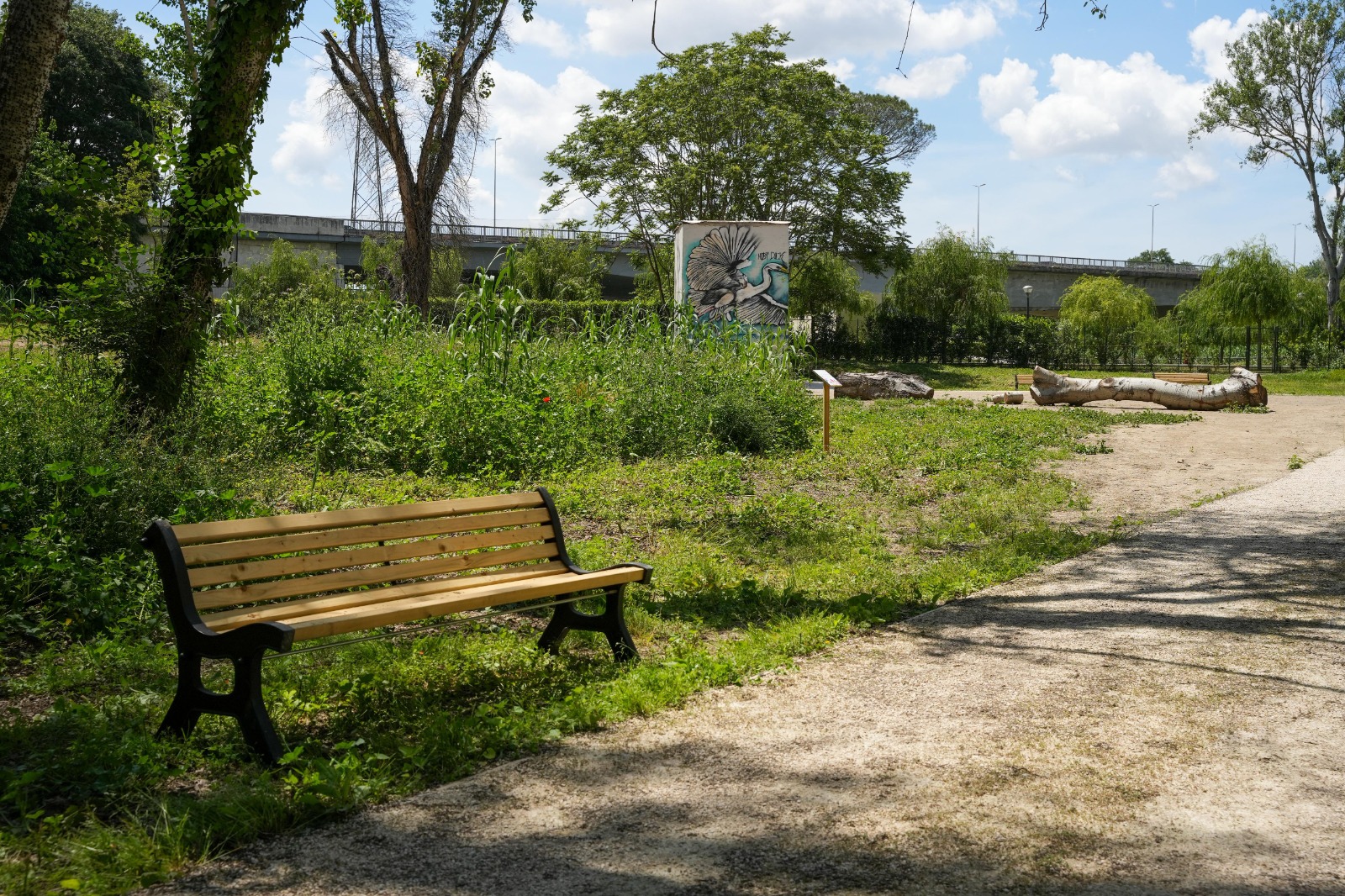 Roma, parco dell’Acqua Cetosa: via libera per i collegamenti ciclabili