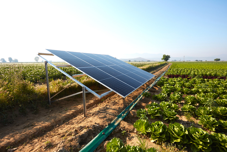 Impianto fotovoltaico in area agricola: il TAR Sardegna annulla il diniego del Comune. La non idoneità non basta più