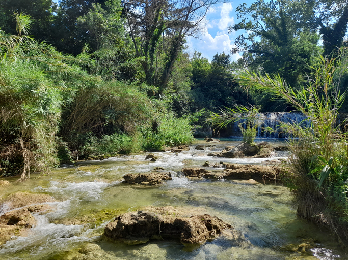 Ripristino della natura: l’Italia adotta il decreto legislativo che attua il regolamento UE 2024/1991