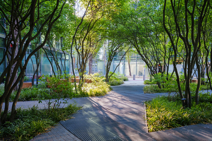 Biodiversità come “Servizio”, la nuova frontiera della Smart City rigenerativa
