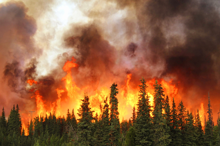 Campagna antincendio boschivo, nuove misure nazionali