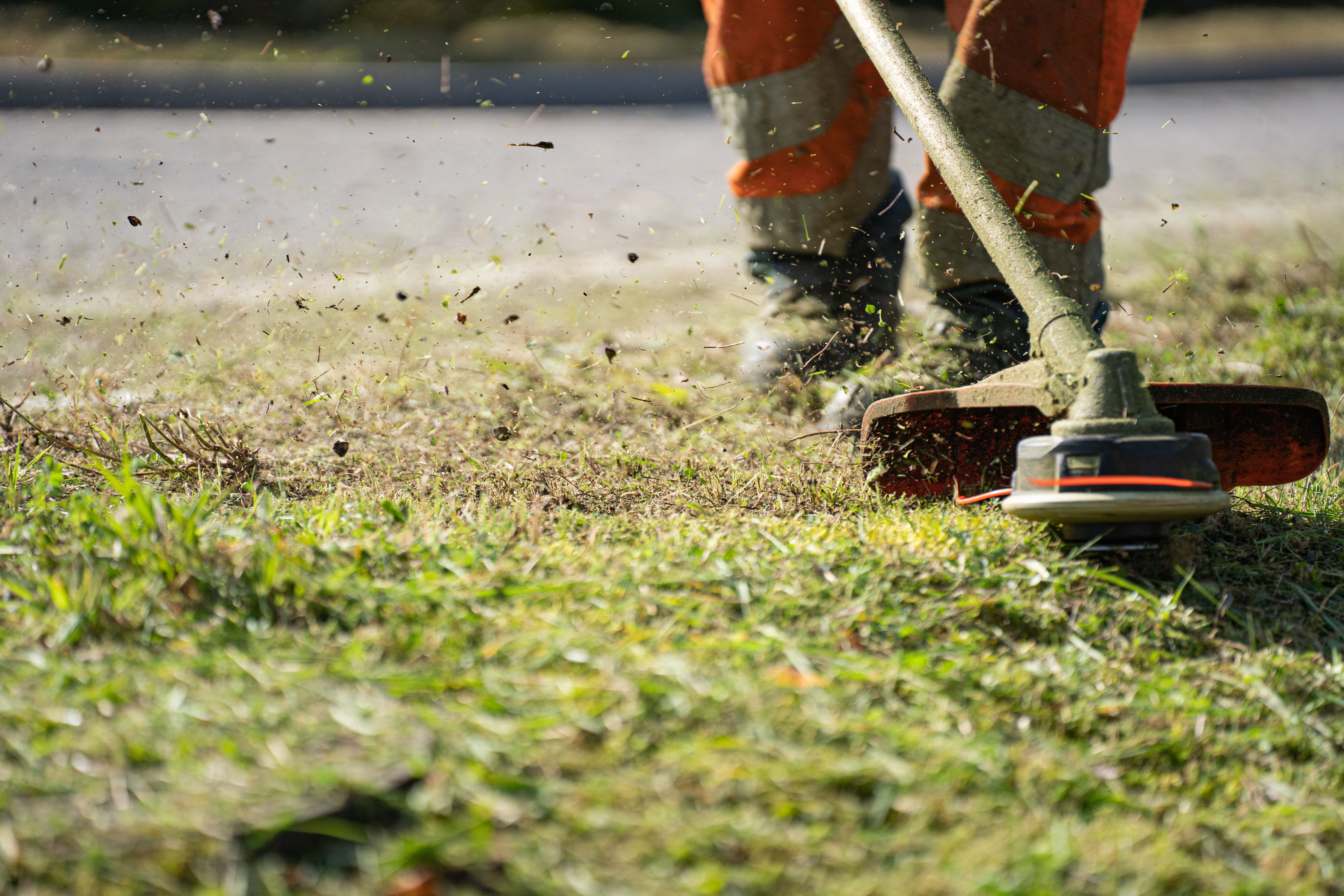 Roma, sfalcio erba e decoro urbano: il piano di interventi sulle strade della capitale a giugno