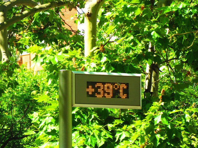 Caldo estremo in città, ENEA lancia una community sui “rifugi climatici” all’aperto