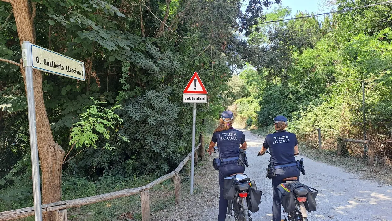 Viareggio, bici elettriche contro lo spaccio: la Pineta di Levante adesso ha gli agenti che pedalano