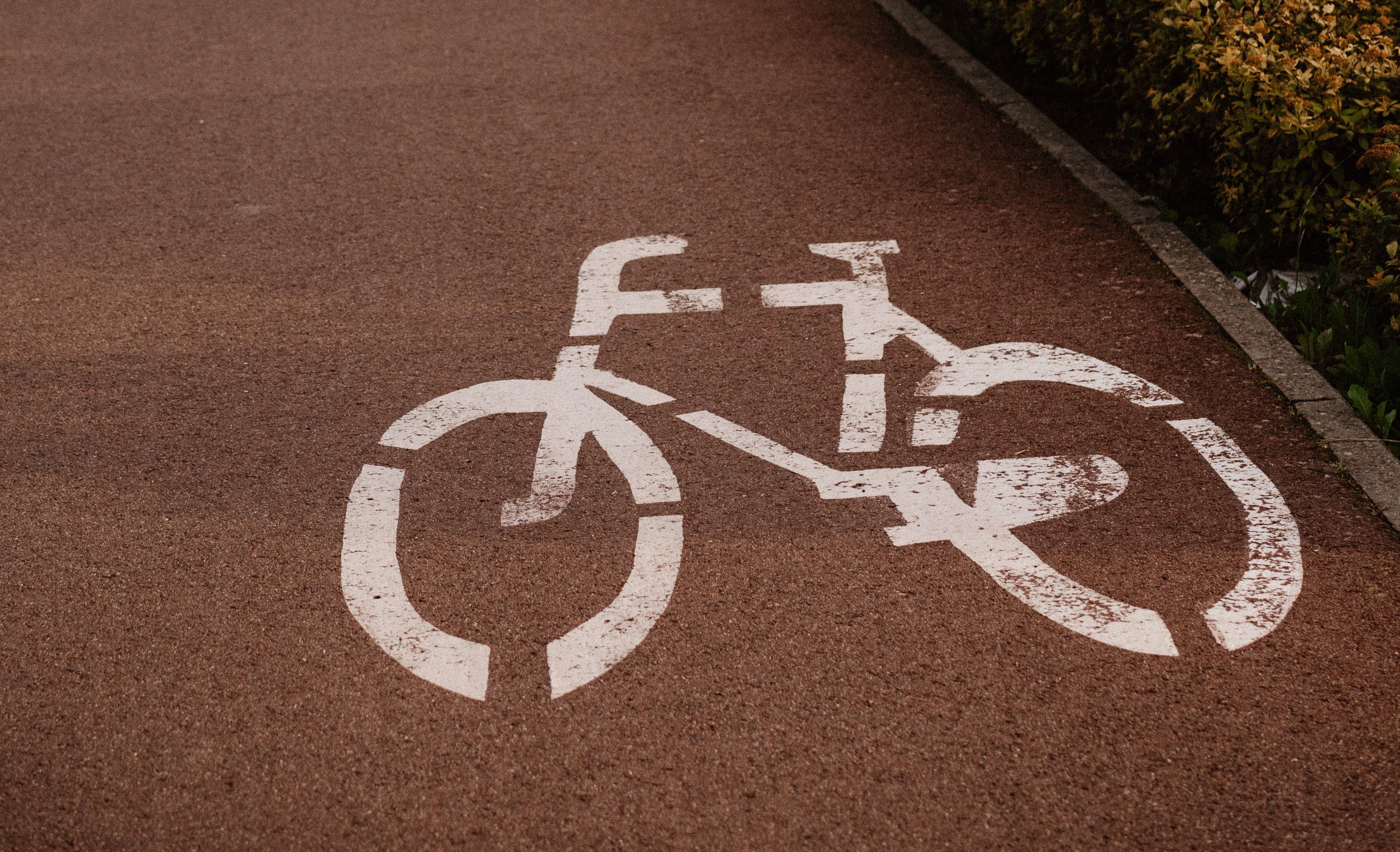 Venezia, ecco il nuovo tratto ciclabile a Mestre verso Forte Marghera. Ed è solo il primo passo della riqualificazione