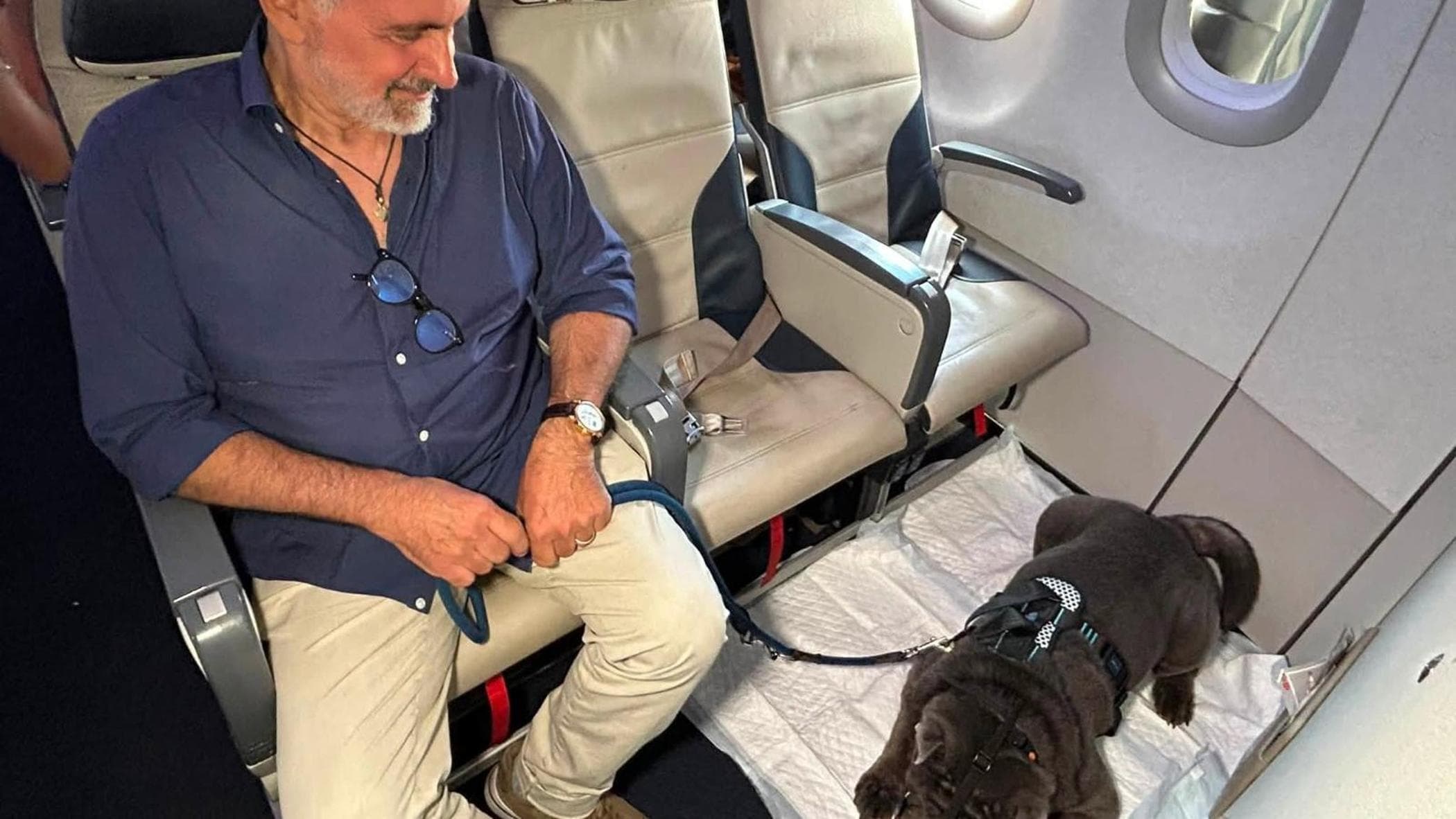 Cani in aereo, svolta storica in Italia: il primo volo di un cane di 29 chili