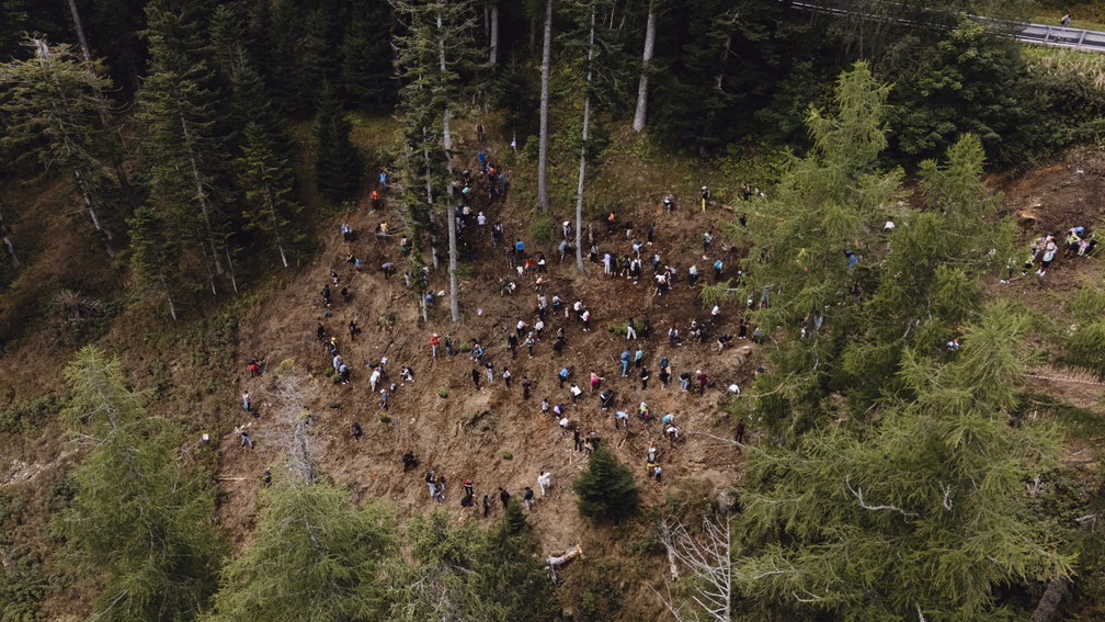 Foresta degli Innovatori 2026: Vaia riparte dall’attenzione, tra 1000 nuovi alberi messi a dimora e la presentazione del nuovo Vaia Focus
