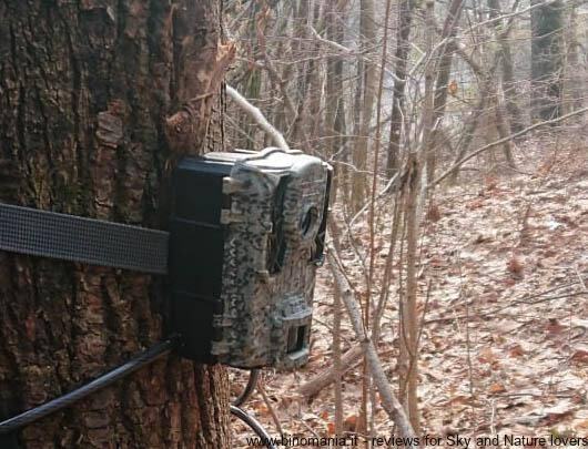Smart City e GDPR: la privacy nei boschi e le fototrappole per la fauna tra trasparenza e sanzioni del Garante